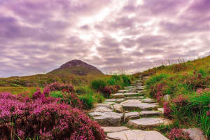 Sustainable Connemara and Galway Bay Rail Tour 4