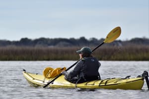 Charleston Marsh Kayak Eco Tour 4