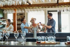 Traverse City Wine Tour 4