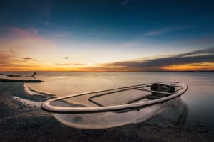 Clear Kayak Guided Tours in Titusville 3