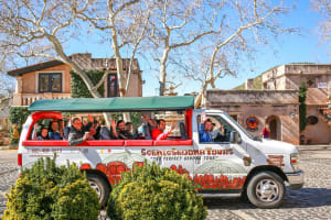 Sedona Half-Day Sightseeing Tour 4