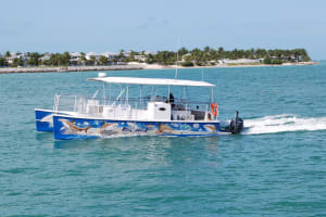 Key West Shark and Wildlife Catamaran Tour 4
