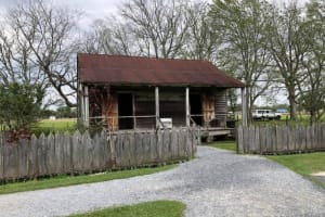 Oak Alley or Laura Plantation Tour from New Orleans 4