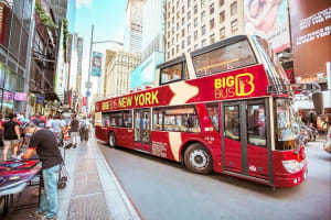 New York City Hop-On Hop-Off Bus Tour with Cityscape Cruise 3
