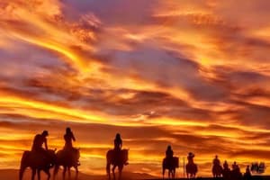 Las Vegas Horseback Ride with Meal 3