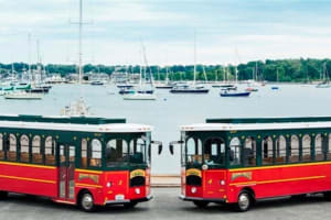 Washington DC Highlights Half-Day Small-Group Driving Tour 3