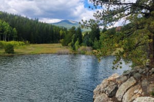 Rockies Half-Day Guided Hike from Denver 3