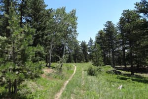 Rockies Half-Day Guided Hike from Denver 4