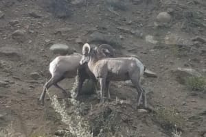 Breckenridge Ultimate Mountain Tour 3