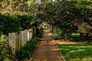 Belle Meade Civil War Tour & Wine Tasting 4