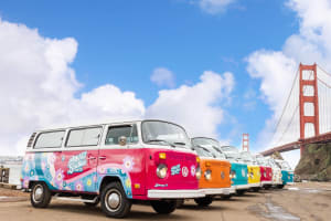 San Francisco Vintage VW Bus Tour 4