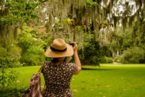 Magnolia Plantation & Charleston City Tour 4