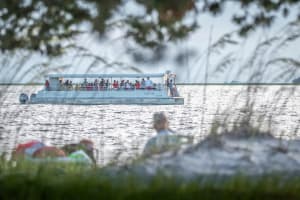 Jekyll Island Dolphin and Sightseeing Boat Tour 3