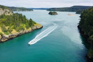 Skagit Valley Birding & Deception Pass Tour 3
