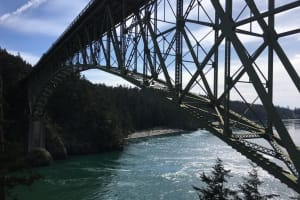 Skagit Valley Birding & Deception Pass Tour 4