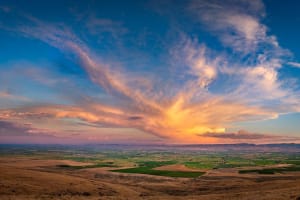 Mt. Rainier Hike & Yakima Valley Wine Tour 4