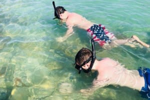 Dolphin Cruise to Shell Key 4