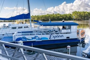 Orange Beach Dolphin Eco Boat Tour 4