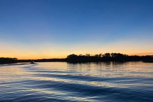 Dolphin and Nature Sunset Cruise from Orange Beach 3