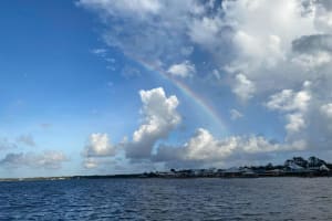 Orange Beach Dolphin Eco Tour 4