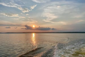 Dolphin and Nature Sunset Cruise from Orange Beach 4