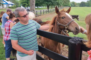 Kentucky Thoroughbred Horse Farm Tour 3