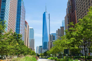 Manhattan Bus and Walking Tour 3
