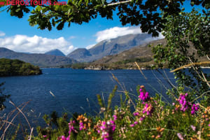 The Gap of Dunloe Full-Day Tour from Killarney 4