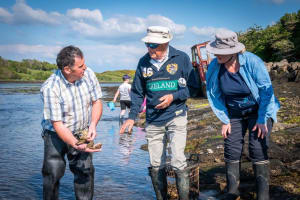 Clew Bay Oyster Farm Tour & Tasting 4