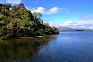 Private Full-Day Bird Watching Boat Tour in Galway 4