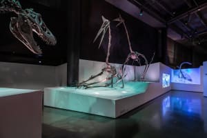 Houston Museum of Natural Science General Admission 3