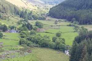 Glendalough Powercourt Waterfall Guinness Lake Sightseeing Tour 3