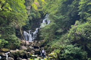 Killarney Private Minibus Tour Nat Park,Torc Waterfall,Ladies Vw. 4
