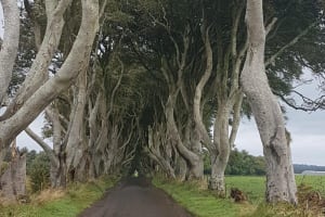 Private tour of the Antrim coast , Giants Causeway and Game of Throne locations 3