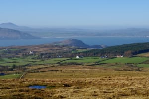 Bog Safari Hike 3