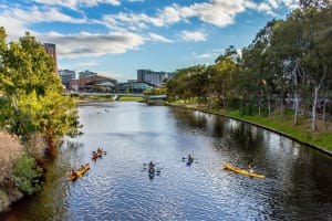 Adelaide City Kayak Tour 3