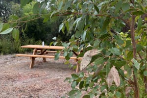 Flinders Chase Private Luxury Tour 4