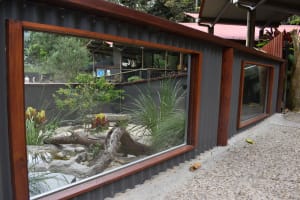 Kuranda Koala Gardens & Birdworld Tickets 3