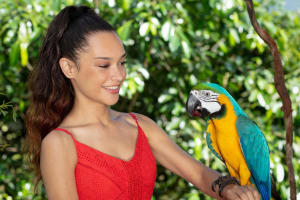 Kuranda Wildlife Experience Pass 3