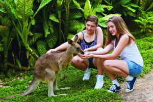 Kuranda Wildlife Experience Pass 4