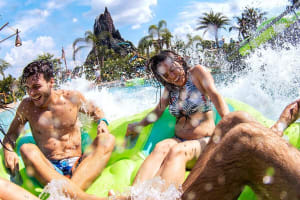 Universal Orlando Park-to-Park Tickets 4