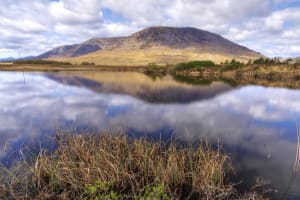 Connemara National Park, Beach & Blanket Bog ecology walk. Private Full-day  4