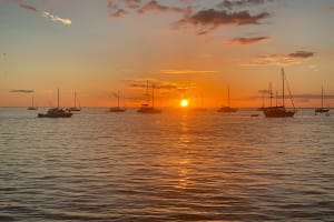 Private Sunset boat Cruise in Miami with Champagne by "The Cleat" 4