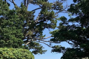 Connemara, Kylemore Abbey and Wild Atlantic Way tour from Galway 4