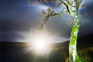  Haunted Bog road tour. Galway. Private guided. 3 hours 4