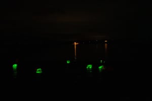 Bioluminescent Swim Experience in West Cork with Storytelling 3