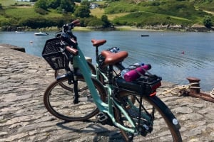 Forks, Focail and Folklore - Storytelling Tour via eBike 4