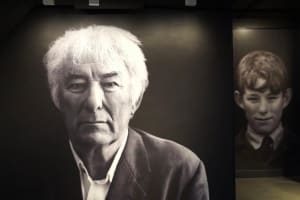 In the Footsteps of Seamus Heaney | Private Car Tour 4