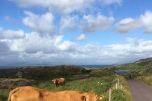 Private Tour of Beara Peninsula  3