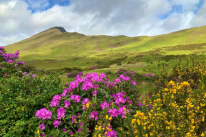 Private Day Tour from Galway to the Burren & The Cliffs of Moher  4